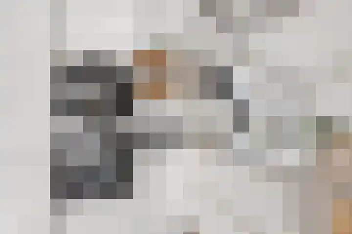 Johan de Wittstraat 33 Hilversum thumbnail 33