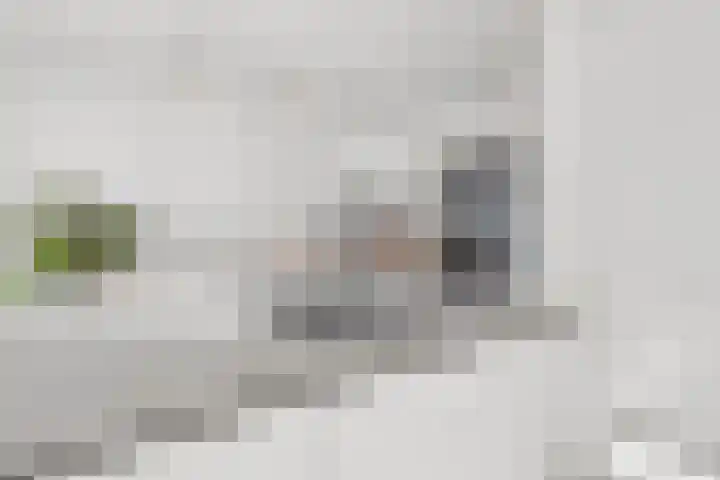 Johan de Wittstraat 33 Hilversum thumbnail 35