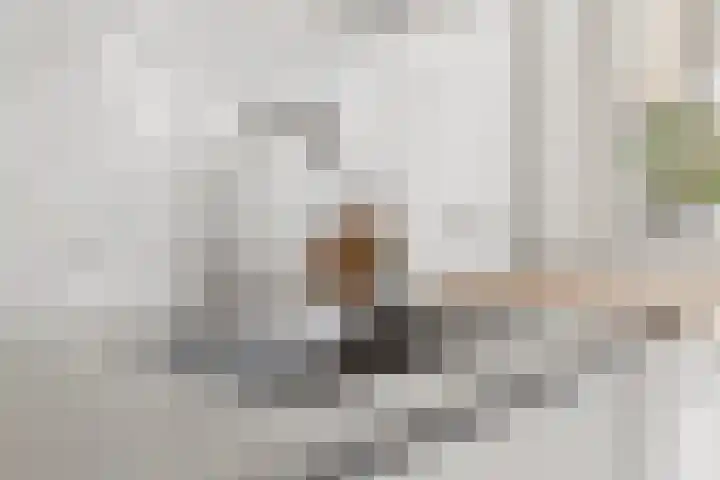 Johan de Wittstraat 33 Hilversum thumbnail 36