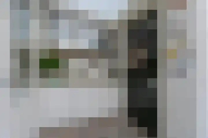 Johan de Wittstraat 33 Hilversum thumbnail 39