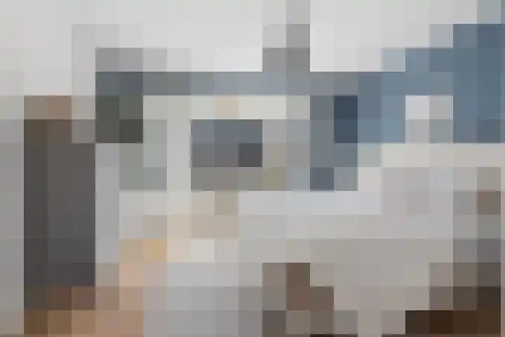Johan de Wittstraat 33 Hilversum thumbnail 41