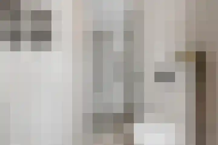 Johan de Wittstraat 33 Hilversum thumbnail 52