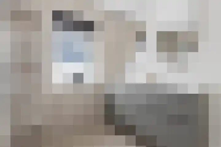 Johan de Wittstraat 33 Hilversum thumbnail 54
