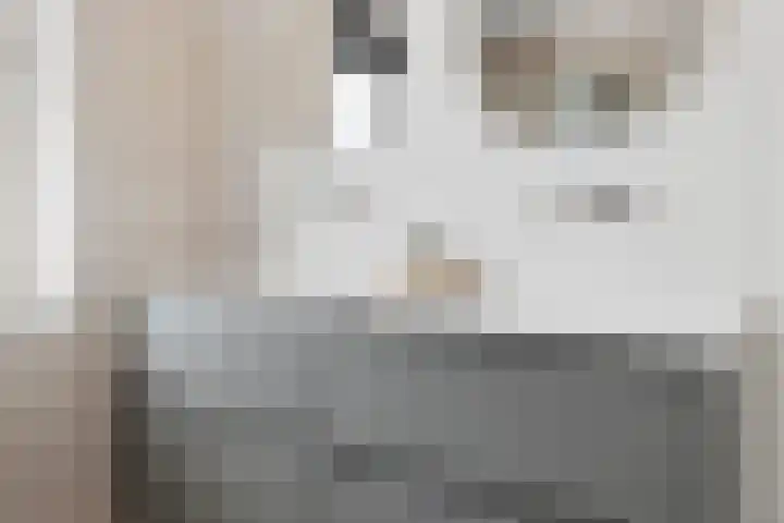 Johan de Wittstraat 33 Hilversum thumbnail 55