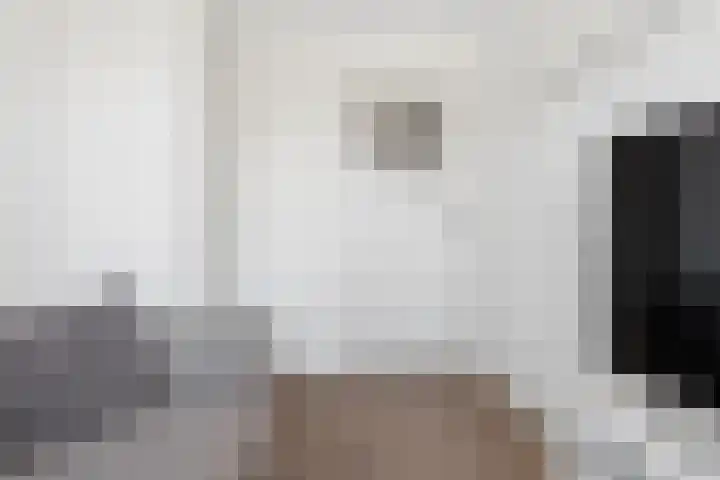 Johan de Wittstraat 33 Hilversum thumbnail 62