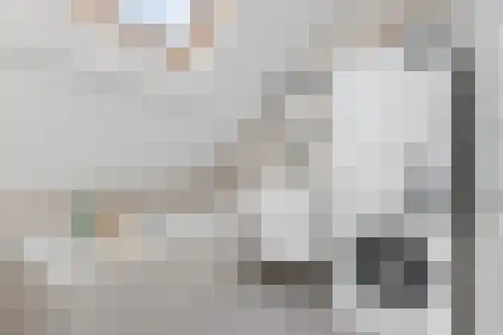 Johan de Wittstraat 33 Hilversum thumbnail 64
