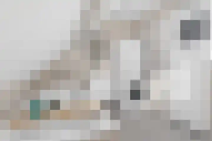 Johan de Wittstraat 33 Hilversum thumbnail 66