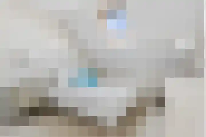 Johan de Wittstraat 33 Hilversum thumbnail 68