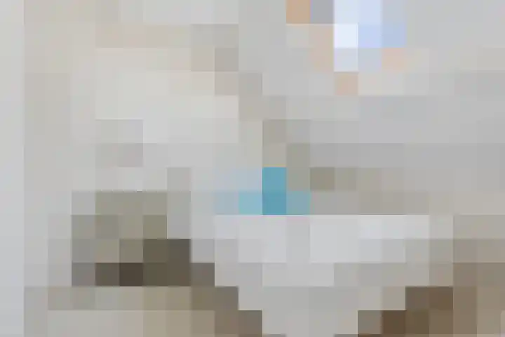 Johan de Wittstraat 33 Hilversum thumbnail 69