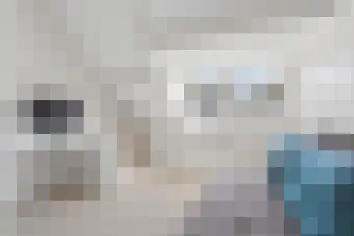 Johan de Wittstraat 33 Hilversum thumbnail 72