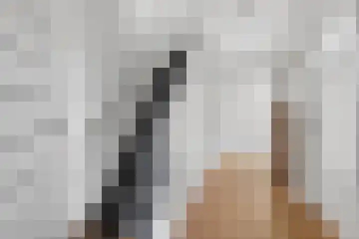 Johan de Wittstraat 33 Hilversum thumbnail 8