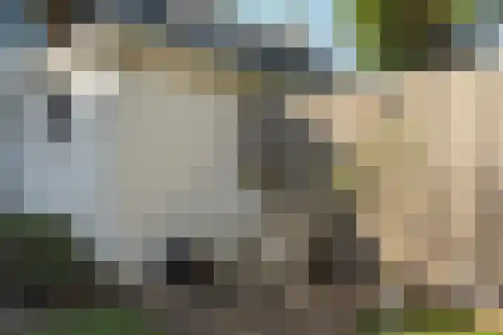 Johan de Wittstraat 33 Hilversum thumbnail 84