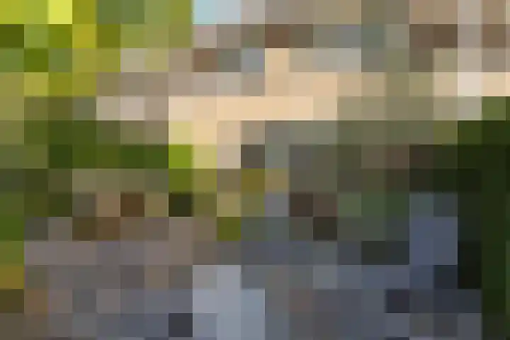 Johan de Wittstraat 33 Hilversum thumbnail 86