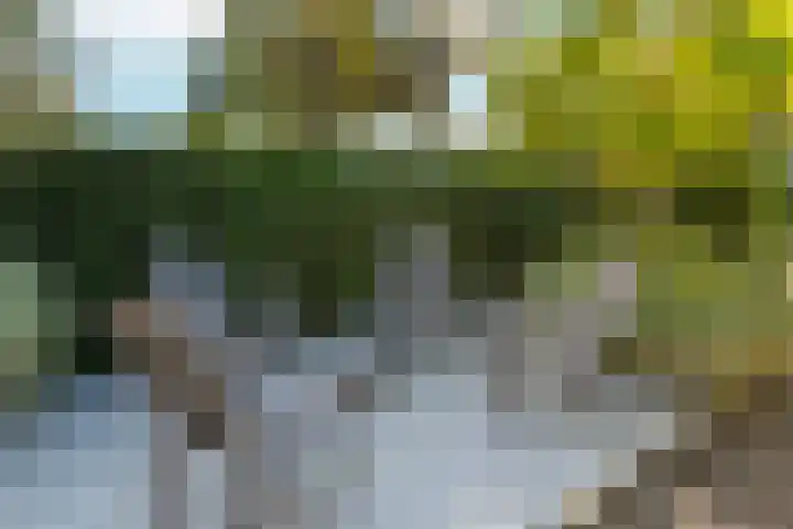Johan de Wittstraat 33 Hilversum thumbnail 88