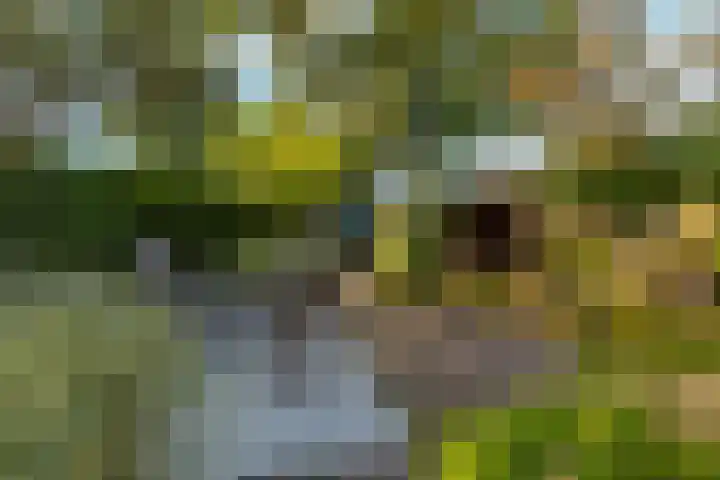 Johan de Wittstraat 33 Hilversum thumbnail 89