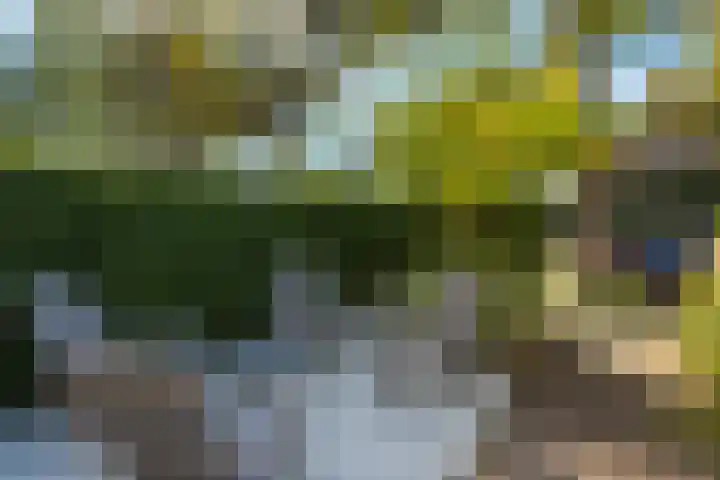 Johan de Wittstraat 33 Hilversum thumbnail 90