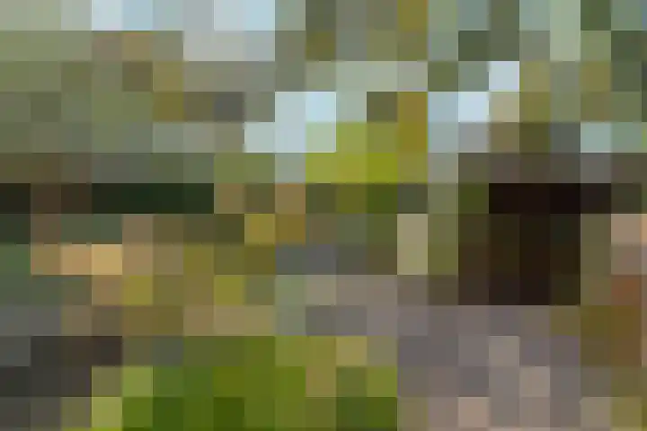 Johan de Wittstraat 33 Hilversum thumbnail 91