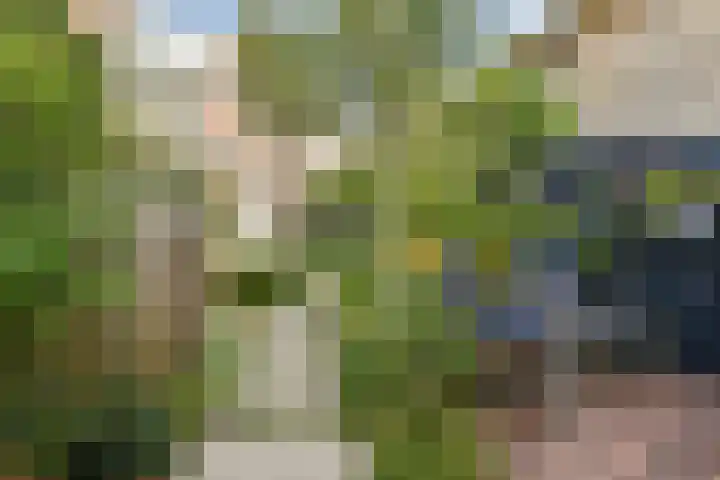 Johan de Wittstraat 34 Wassenaar thumbnail 11