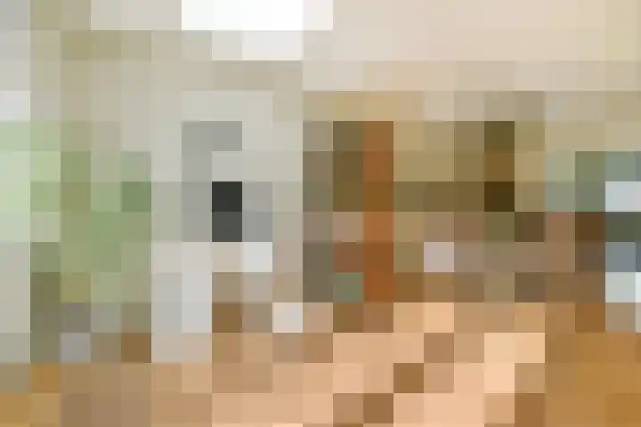 Johan de Wittstraat 34 Wassenaar thumbnail 7