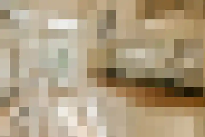 Johan de Wittstraat 34 Wassenaar thumbnail 8