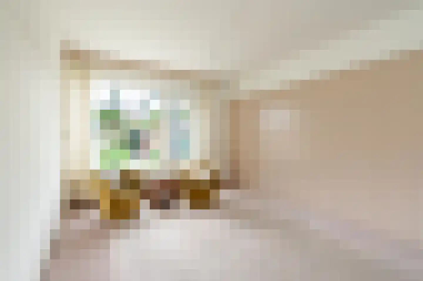 Johan de Wittstraat 36 Apeldoorn thumbnail 5