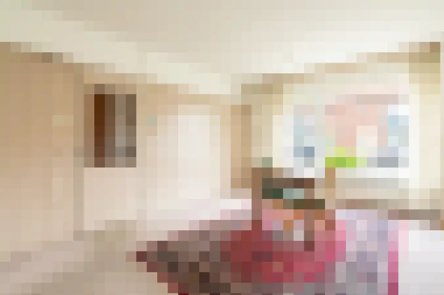Johan de Wittstraat 36 Apeldoorn thumbnail 8