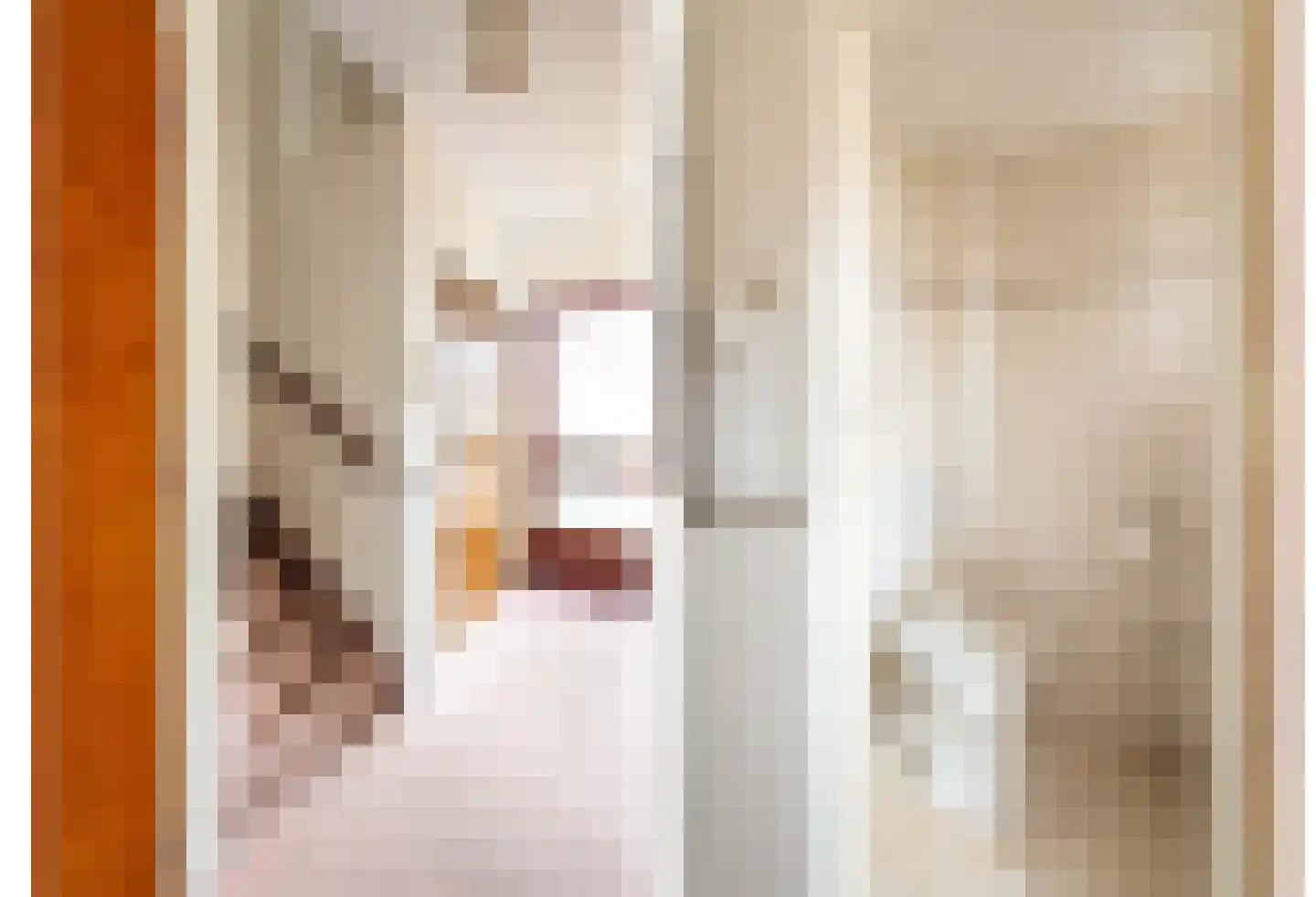 Johan de Wittstraat 36 Apeldoorn thumbnail 9