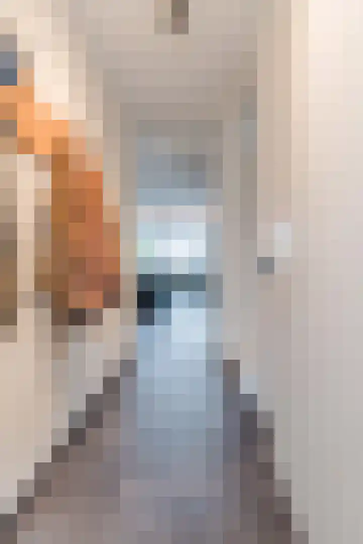 Johan de Wittstraat 36 Oosterhout thumbnail 10