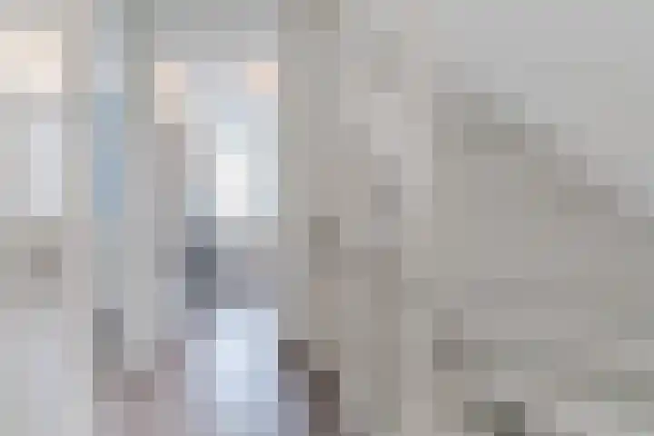 Johan de Wittstraat 36 Oosterhout thumbnail 22