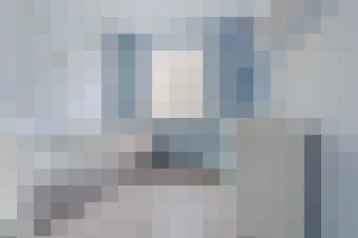 Johan de Wittstraat 36 Oosterhout thumbnail 27