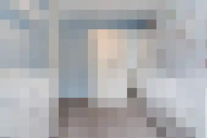 Johan de Wittstraat 36 Oosterhout thumbnail 28