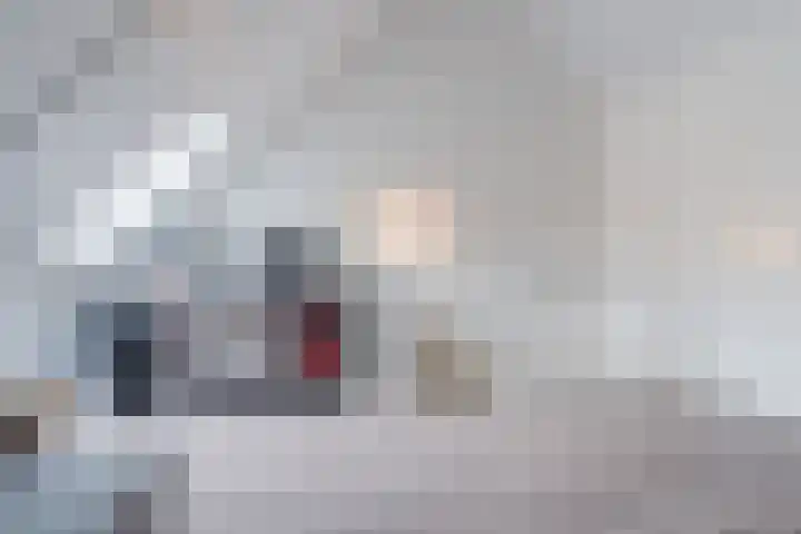 Johan de Wittstraat 36 Oosterhout thumbnail 36