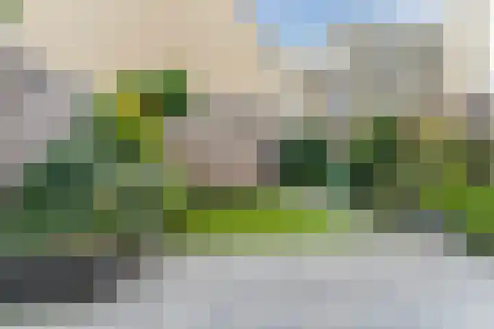 Johan de Wittstraat 36 Oosterhout thumbnail 38