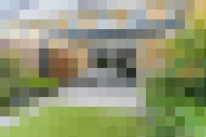 Johan de Wittstraat 36 Oosterhout thumbnail 40