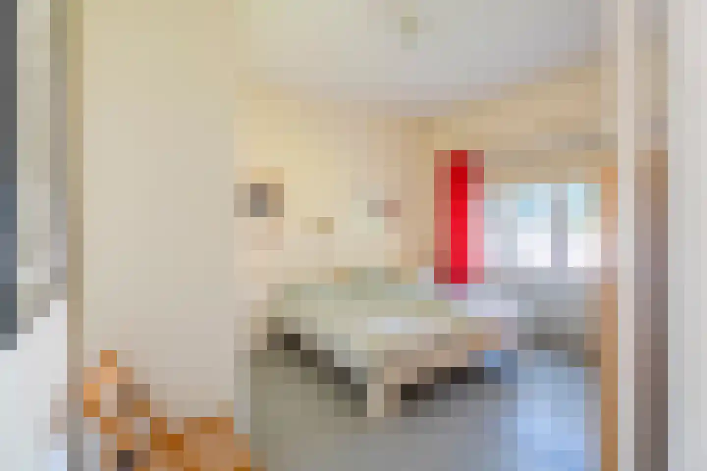 Johan de Wittstraat 38 Leiden thumbnail 14