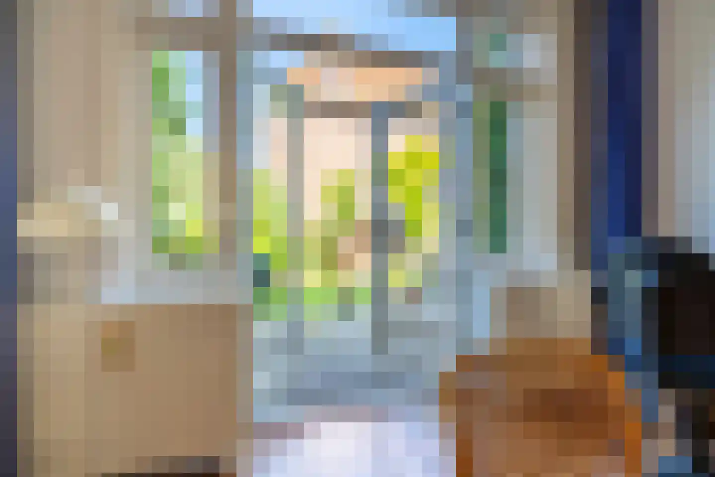 Johan de Wittstraat 38 Leiden thumbnail 30