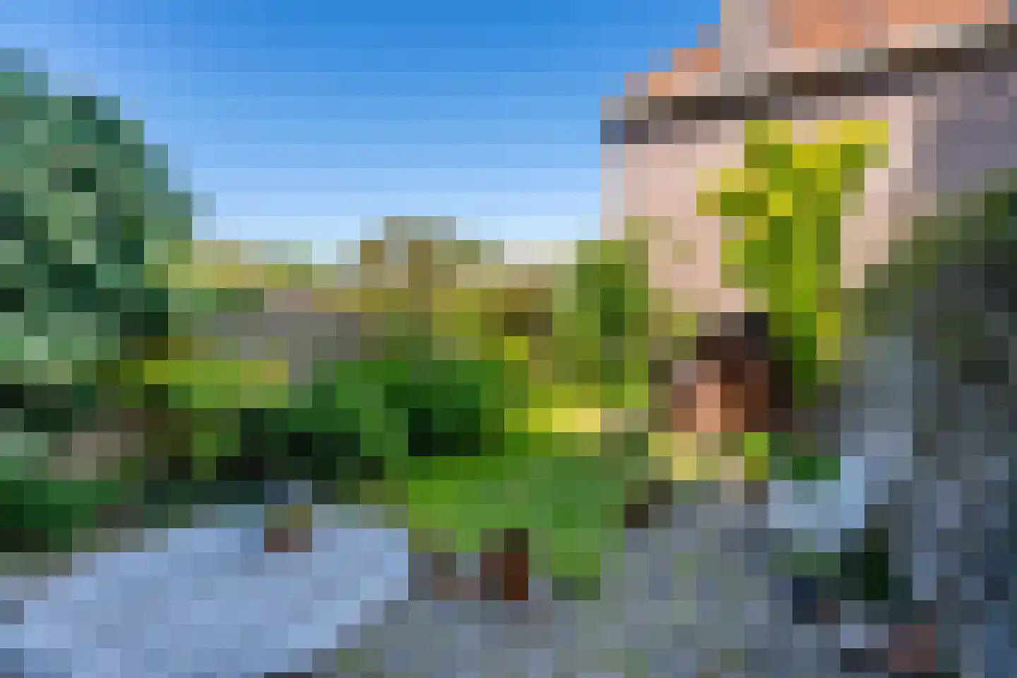 Johan de Wittstraat 38 Leiden thumbnail 31