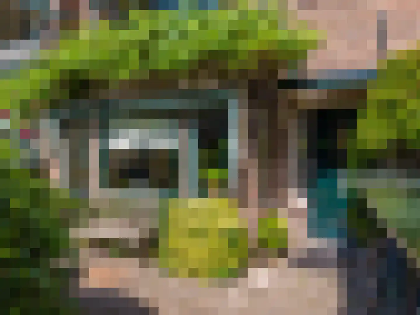Johan de Wittstraat 38 Leiden thumbnail 35