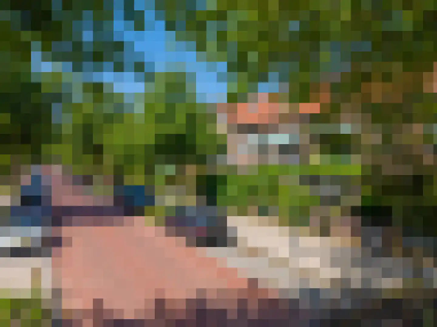 Johan de Wittstraat 38 Leiden thumbnail 37