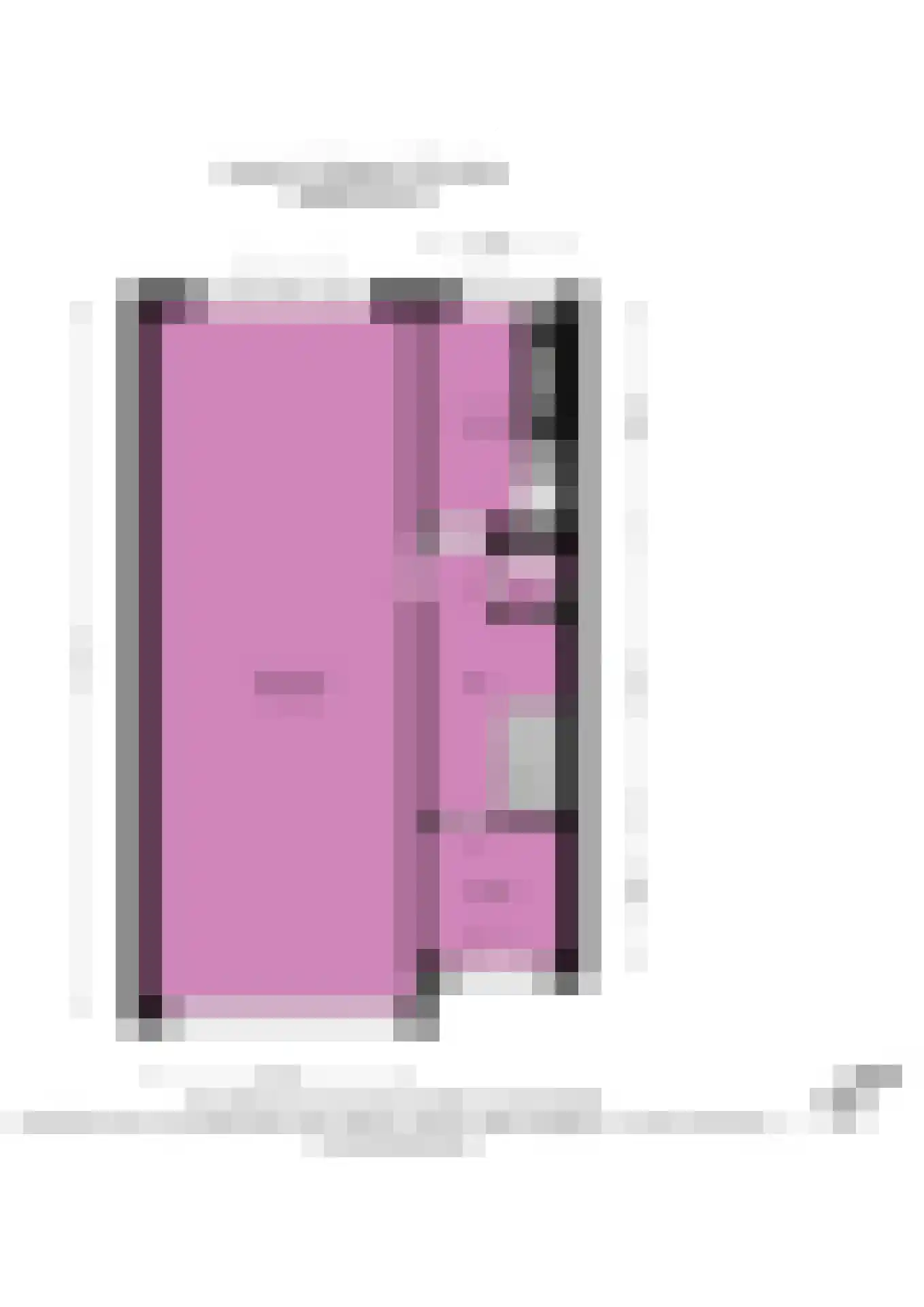 Johan de Wittstraat 38 Leiden thumbnail 43