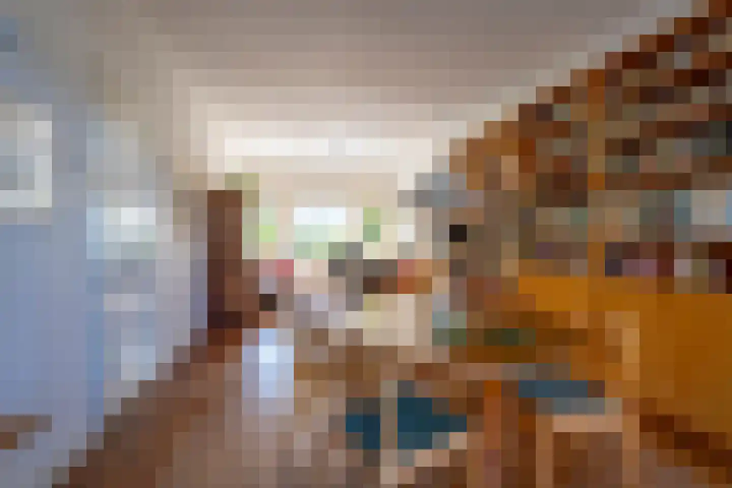Johan de Wittstraat 38 Leiden thumbnail 5