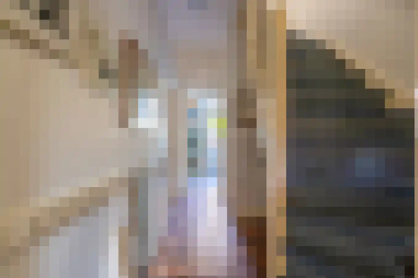 Johan de Wittstraat 38 Leiden thumbnail 6