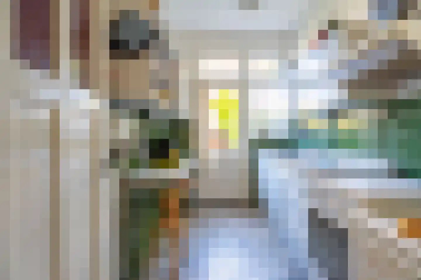 Johan de Wittstraat 38 Leiden thumbnail 7