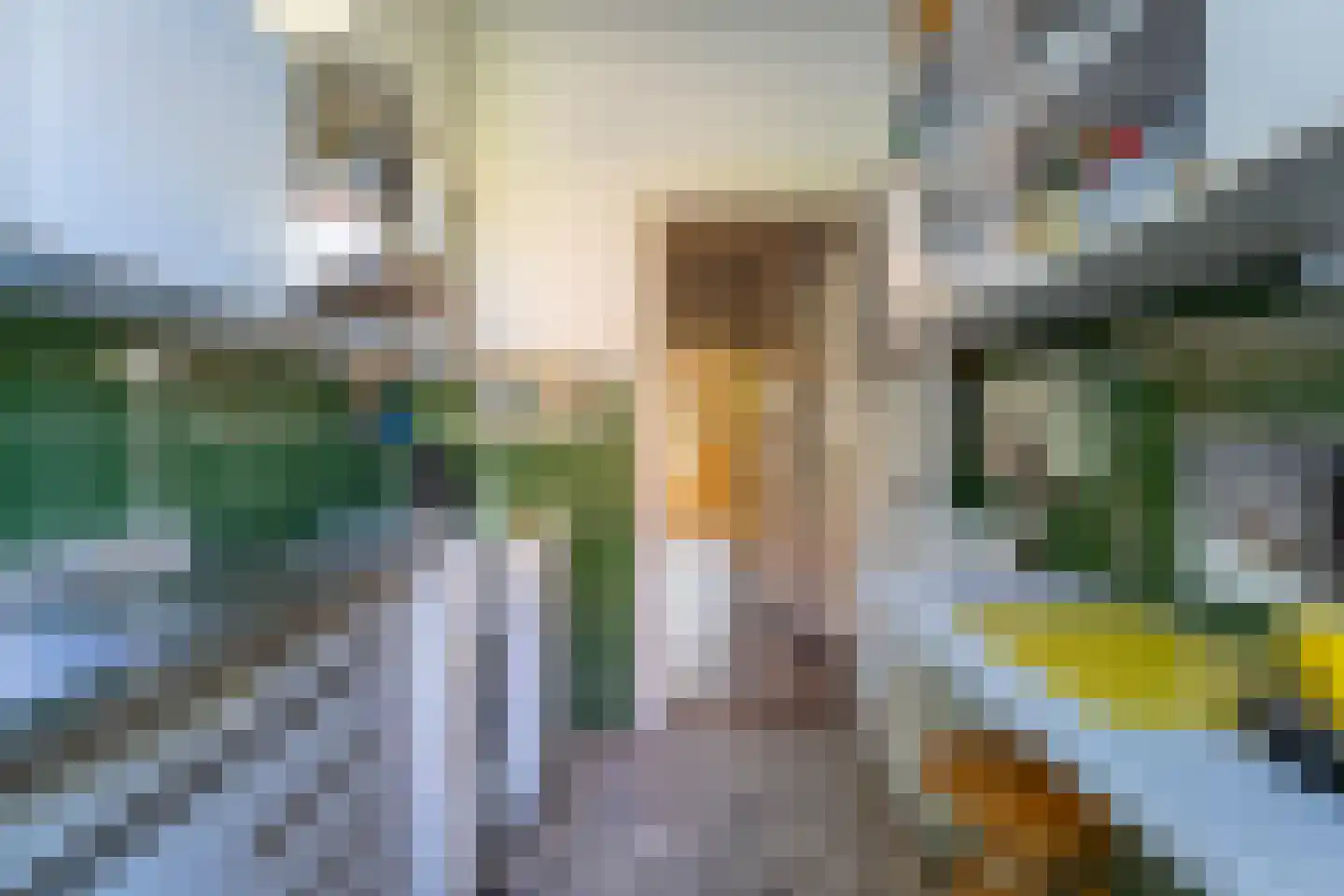 Johan de Wittstraat 38 Leiden thumbnail 8