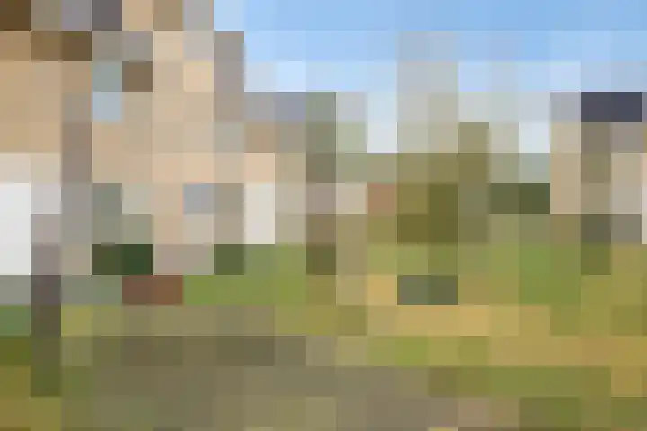 Johan de Wittstraat 38 Oosterhout thumbnail 26
