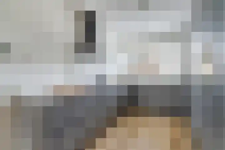 Johan de Wittstraat 38 Oosterhout thumbnail 8