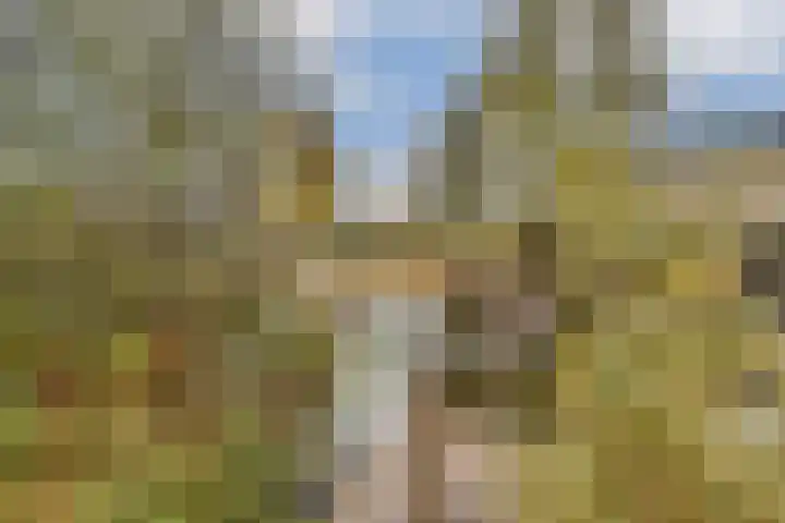 Johan de Wittstraat 39 Vlaardingen thumbnail 31