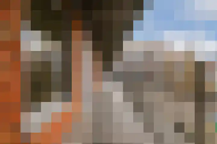 Johan de Wittstraat 39 Vlaardingen thumbnail 5