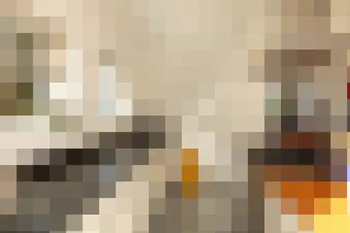 Johan de Wittstraat 43 Hilversum thumbnail 11