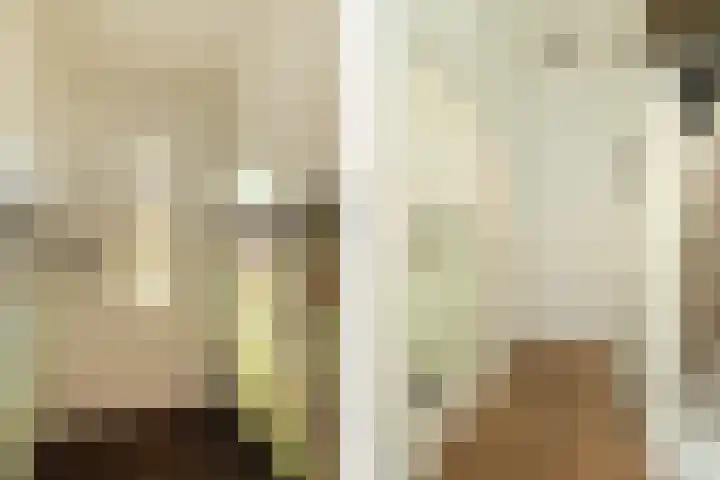 Johan de Wittstraat 43 Hilversum thumbnail 13